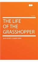 The Life of the Grasshopper