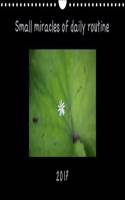 Small Miracles of Daily Routine 2017: The Inspiring Year with Small Miracles Sparks from Nature Routine.(Calvendo Nature)