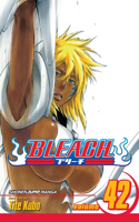 Bleach, Vol. 42: Volume 42(Bleach)