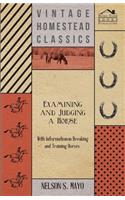 Examining and Judging a Horse - With Information on Breaking and Training Horses