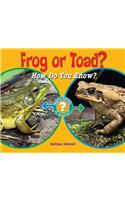 Frog or Toad?