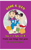 Uche and Uzo Say it in Igbo vol.8