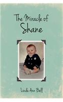 The Miracle of Shane: (English)