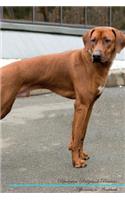 Rhodesian Ridgeback Affirmations Workbook Rhodesian Ridgeback Presents: Positive and Loving Affirmations Workbook. Includes: Mentoring Questions, Guidance, Supporting You.