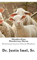 Shepherding Wandering Sheep