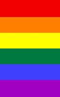 LGBTQ+ Pride Rainbow Flag Journal