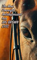 The Most Powerful Antidepressant has Big Brown Eyes: Horse Training Journal for journaling - Equestrian Notebook - 131 pages, 6x9 inches - Horses Lovers & Girls - Gift for Horse Lovers