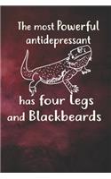 The Most Powerful Antidepressant Has Four Legs And Blackbeards Notebook Journal