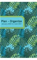 Plan - Organize - January 2020 to June 2021: Weekly & Monthly Views with Vision Pages and Motivational Quotes (Field of Ferns)