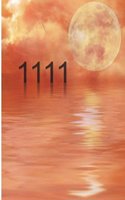 1111