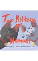 Two Kittens Get Names