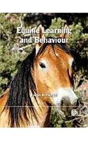 Equine Learning and Behaviour