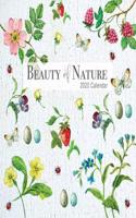 BEAUTY OF NATURE 2020