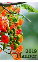 2019 Planner Vol. 12