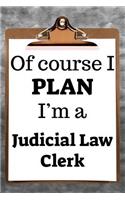 Of Course I Plan I'm a Judicial Law Clerk