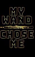 My Wand Chose Me