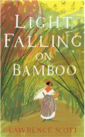 Light Falling on Bamboo