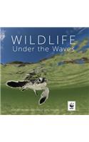 Wildlife Under the Waves