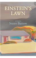 Einstein's Lawn