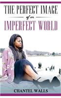 Perfect Image of an Imperfect World