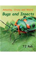 Amazing, Crazy and Weird Bugs and Insects