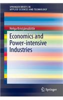 Economics and Power-Intensive Industries: Micro and Macro Issues