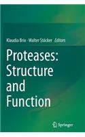 Proteases: Structure and Function