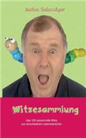 Witzesammlung: über 550 gesammelte Witze aus verschiedenen Lebensbereichen(German)