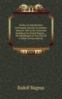 Goethe Ais Naturforscher: Vorlesungen Gehalten Im Sommer-Semester 1900 an Der Universitat Heidelberg Von Rudolf Magnus, . . Mit Abbildungen Im Text Und Auf 8 Tafeln (German Edition)