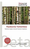 Paulownia Tomentosa