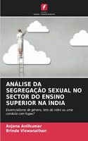 Análise Da Segregação Sexual No Sector Do Ensino Superior Na Índia