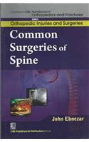 Common Surgeries Of Spine (Handbooks In Orthopedics And Fractures Series, Vol. 59-Orthopedic Injuries And Surgeries)