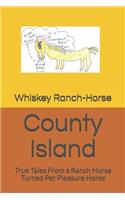 County Island