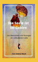 Die Seele ist im Gehirn