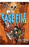 Case File 13 #3: Evil Twins