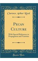 Pecan Culture: With Special Reference to Propagation and Varieties (Classic Reprint)