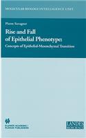 Rise and Fall of Epithelial Phenotype