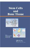 Stem Cells and Bone Tissue