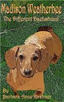 Madison Weatherbee- The Different Dachshund