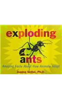 Exploding Ants