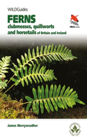 Ferns: Clubmosses, Quillworts and Horsetails of Britain and Ireland(WILDGuides)