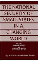 National Security of Small States in a Changing World