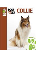 Collie