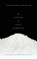 Sound of Salt Forming: Short Stories by the Post-80s Generation in China