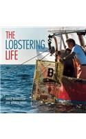 Lobstering Life
