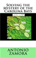 Solving the Mystery of the Carolina Bays