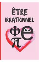 Être Irrationnel: Cahier 6 "x 9". 120 pages. journal, cahier de notes ou agenda.