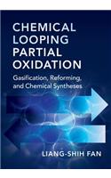 Chemical Looping Partial Oxidation