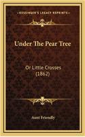 Under the Pear Tree