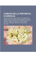 Comuni Della Provincia Di Brescia: Brescia, Sellero, Travagliato, Gottolengo, Salo, Carpenedolo, Manerbio, Chiari, San Zeno Naviglio, Magasa(Italian)